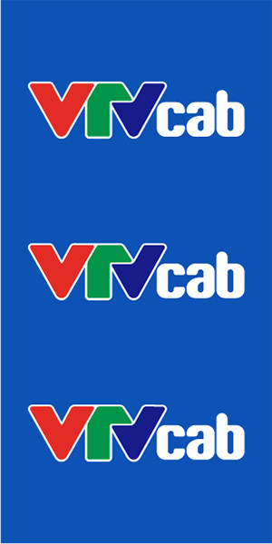Banner VTV